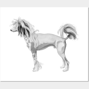 Chinese Crested dog Posters and Art